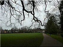 TQ0057 : Winter in Woking Park by Basher Eyre