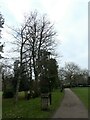 Lamppost in Woking Park