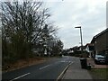 Lamppost in White Rose Lane