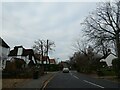 Houses in White Rose Lane