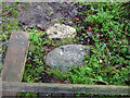 SO8700 : Stone Stile, Minchinhampton by Mr Red