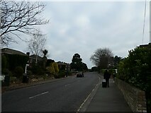 TQ0158 : Pedestrian in Heathside Road by Basher Eyre