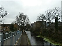 TQ0059 : Basingstoke Stoke Canal seen from the Bedser Bridge (A) by Basher Eyre