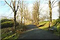 Lime Avenue, Maryhill Park