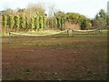 Tennis courts, Maryhill Park