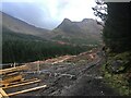 NN0457 : Forestry work in Glenachulish by Steven Brown