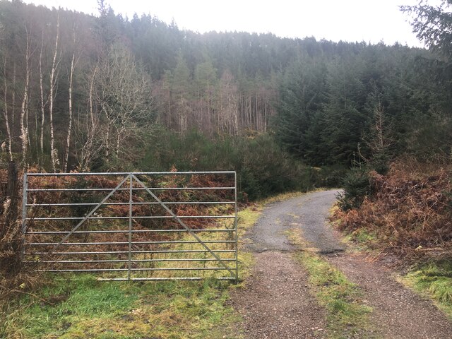 Forestry access near Aberchalder