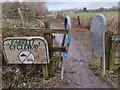 A Frame on the Parrett Cycleway