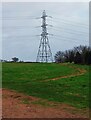 Electricity pylon in field near Spennells, Kidderminster, Worcs