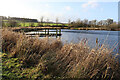 Pond at Elsick