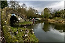SJ9585 : Macclesfield Canal by Peter McDermott