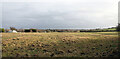 A field by Old Lane, Drighlington