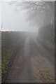 TQ4657 : Misty Brasted Lane by N Chadwick