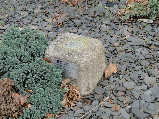 Fundamental Bench Mark: Whitton Green South