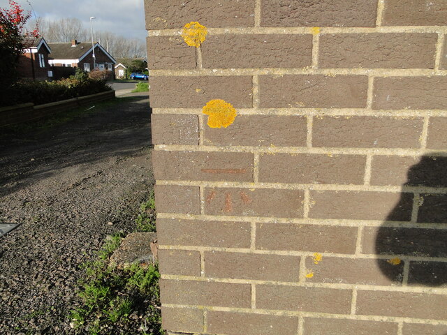 Cut mark on an electricity substation