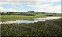 SY5287 : Pond and field west of West Bexington by Derek Harper