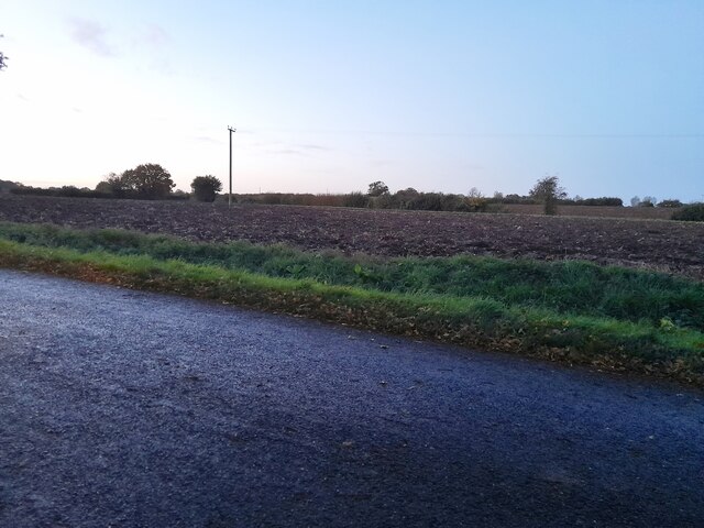Fields by Mashbury Road near Pleshey