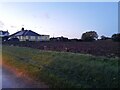 Houses and field by Mashbury Road near Pleshey