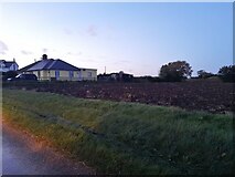TL6713 : Houses and field by Mashbury Road near Pleshey by David Howard