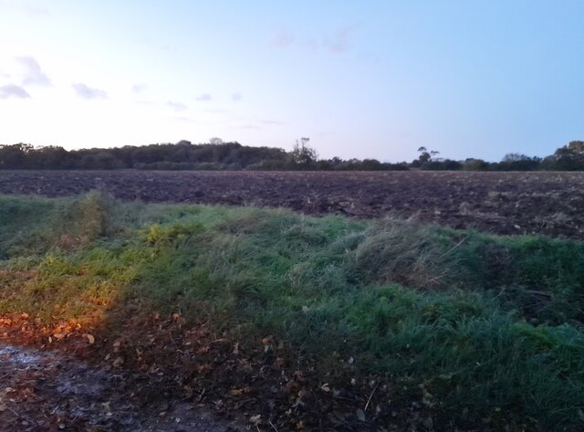 Fields by Mashbury Road near Pleshey