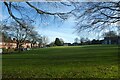 Grassy area near Catherine House