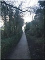 Footpath to the town centre