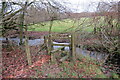 Sticil uwchben nant / A stile above a stream