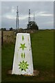 SO9924 : Trig point on Cleeve Common by Philip Halling