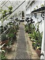 Greenhouse interior