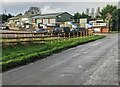 Businesses at the edge of Raglan