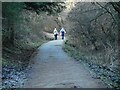 Footpath, near the Craigdhu Wedge