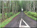 Tree-lined road giving access to Arabella Holdings and House