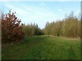 SK6438 : Footpath junction in woodland south of Radcliffe on Trent by Alan Murray-Rust