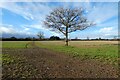 Farmland, Hughenden