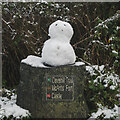 J3178 : Snowman, Belfast by Rossographer