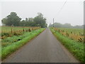 Fence-lined minor road near to The Old Smithy, Pitcalnie