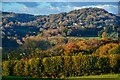 Bovey Tracey : Countryside Scenery