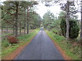 Minor tree-lined road near to Tulloch