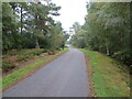 Minor tree-lined road near to Airdens