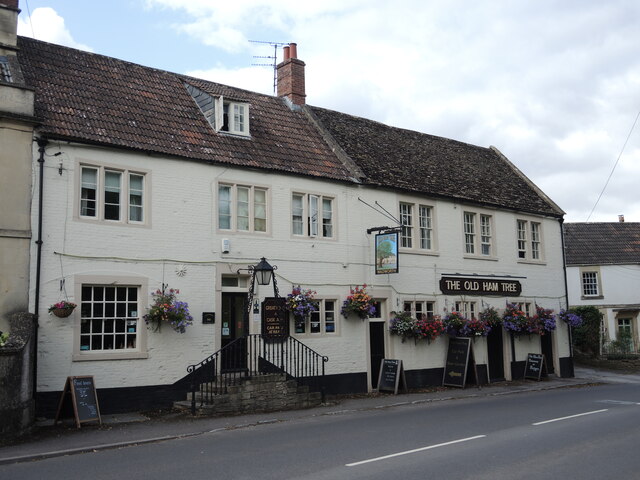 The Old Ham Tree © Neil Owen cc-by-sa/2.0 :: Geograph Britain and Ireland