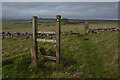 SK1974 : A Stile on the Moors, near Wardlow, Derbyshire by Andrew Tryon