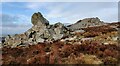 SO3698 : Rock outcrops on the Stiperstones by Mat Fascione