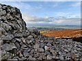 SO3698 : Rock outcrop at the Stiperstones by Mat Fascione