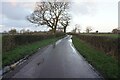 Back Lane towards Ashley