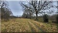 Field boundary near Linklater