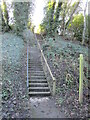 Steps up the embankment