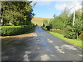 NT3911 : Minor road at Deanburnhaugh by Peter Wood