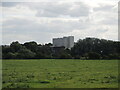 Staverton Mill from Holt