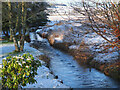 Biggar Burn above Burnbraes Park