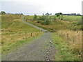 Track and ford crossing of Harden Burn